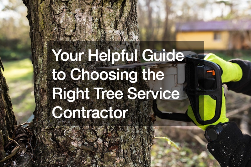 Your Helpful Guide to Choosing the Right Tree Service Contractor