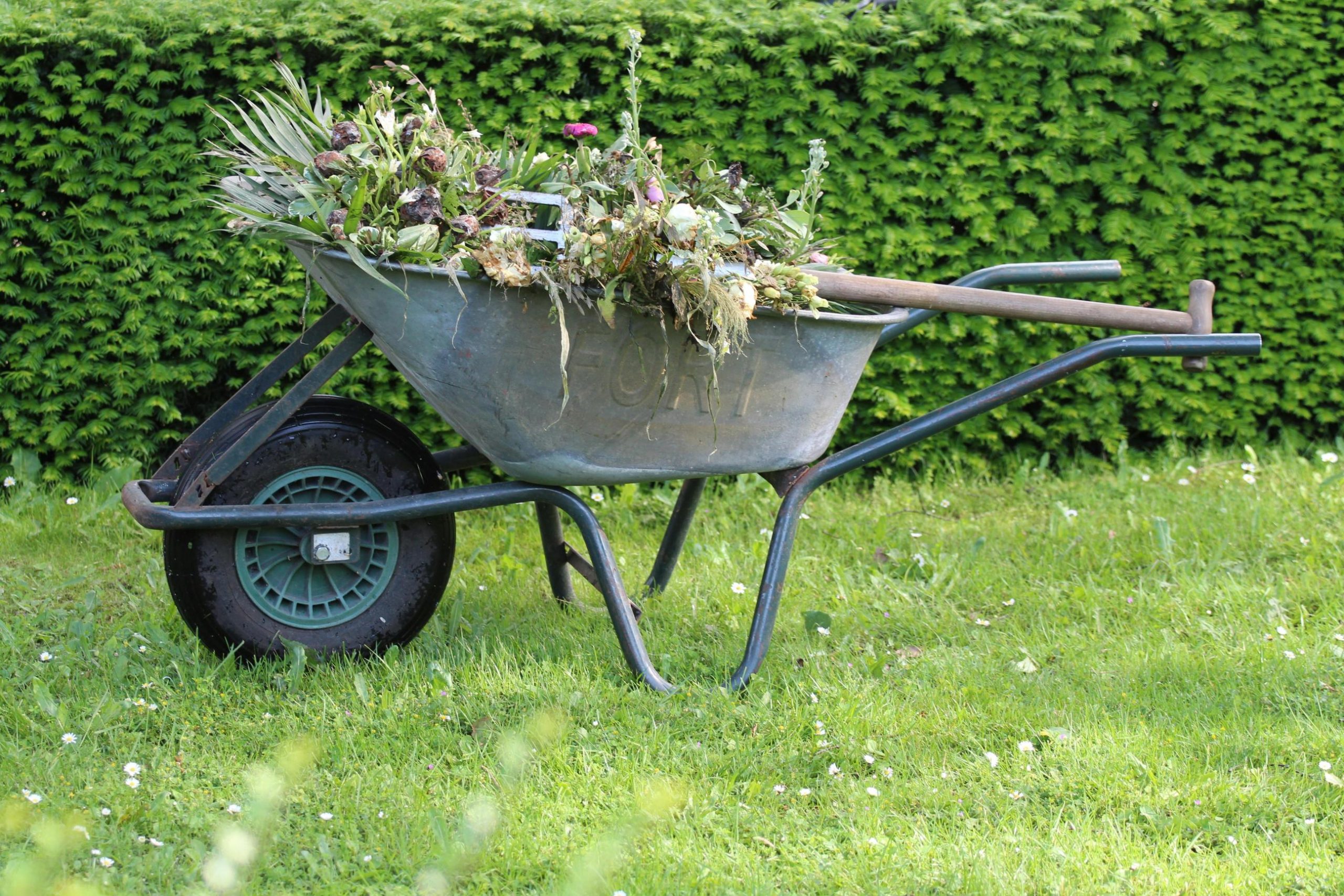 Affordable Yard Makeovers: 20 Cheap Landscaping Ideas That Work
